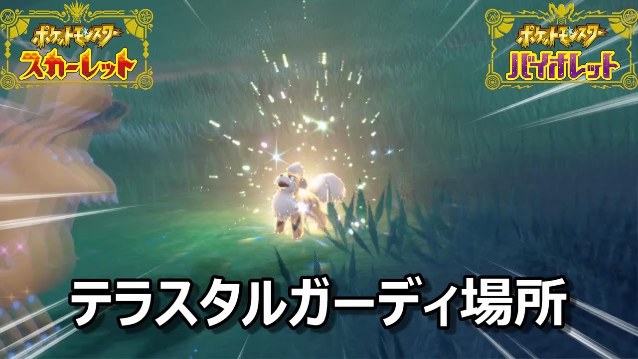 【ポケモンSV】テラスタルガーディ場所　野生テラスタル＃１７【スカーレット・バイオレット】