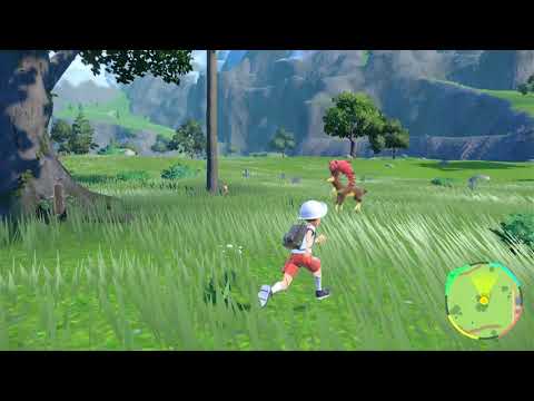 【ポケモンSV】ゾロアの出現場所・行き方【スカーレットバイオレット】