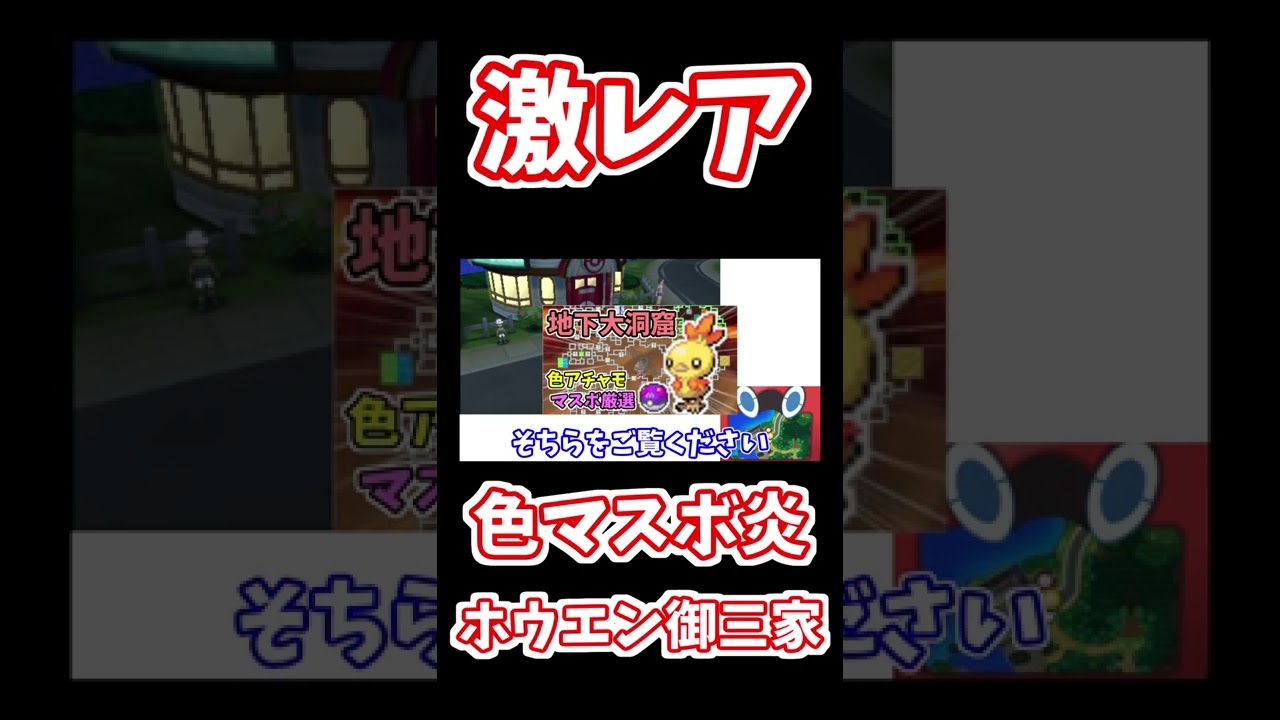 マスボ入り色違いアチャモ系コンプ！！　バシャーモ　＃shorts