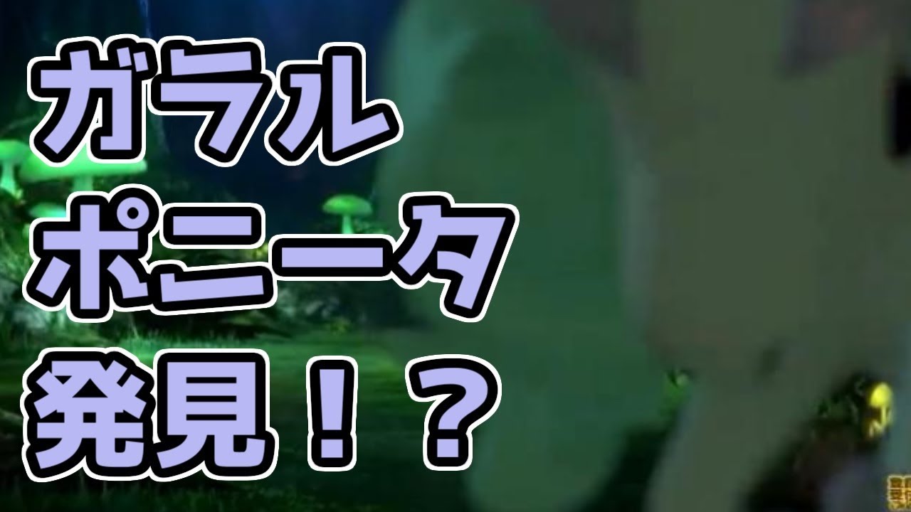 【ポケモンライブカメラ】新ポケモン「ガラルポニータ」発見！？