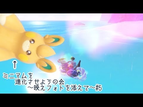 ミニマムを進化させようの会～映えフォトを添えて～＃【ポケットモンスター　バイオレット】