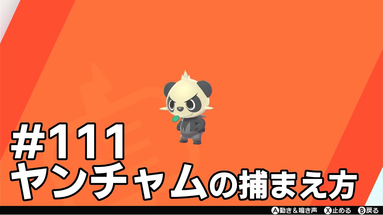 ヤンチャムを探している方に見てほしい動画