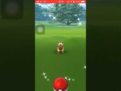 【ポケモンGO】色違いポチエナゲット！