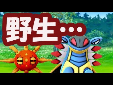 【ポケモン】野生のアーマルドが数百メートル先に！ソルロックの条件は？