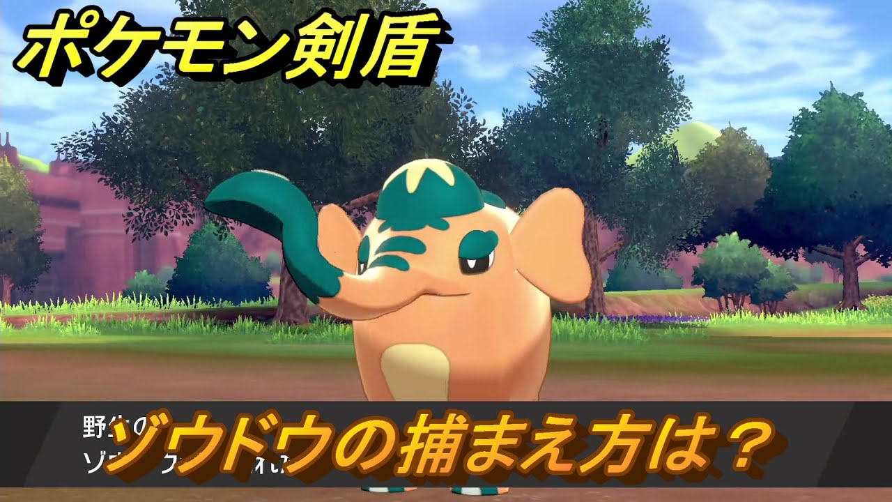 ポケモン剣盾　ゾウドウの出現場所は？オススメの場所は？天気は？ポケモン図鑑コンプへの道！　最新版【ポケモンソード・シールド】