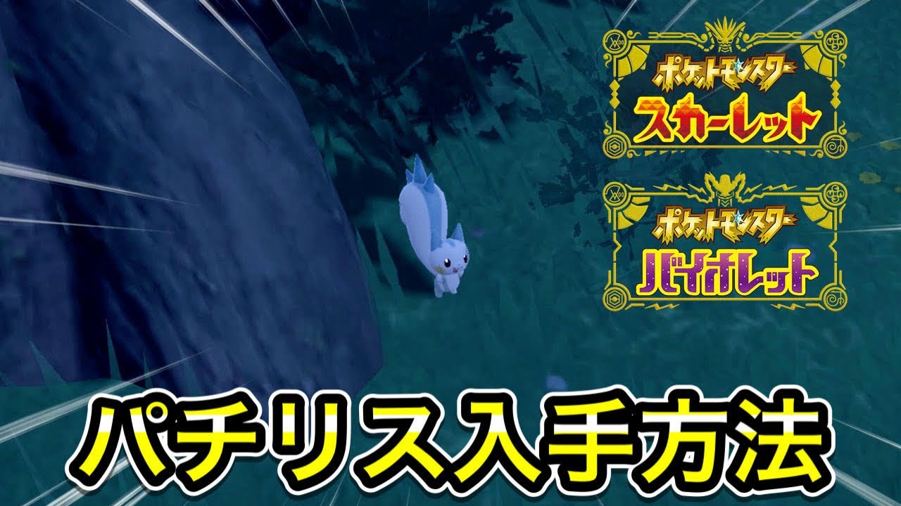 【ポケモンSV】パチリスの出現場所！木の上にいるパチリスの捕まえ方！
