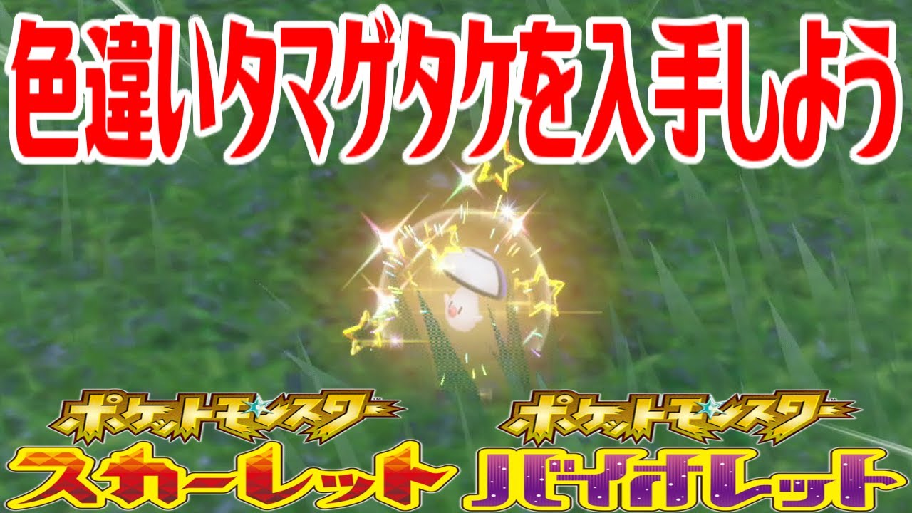 【ポケモンSV】色違いタマゲタケを入手しよう【ポケットモンスター スカーレット・バイオレット】Pocket Monsters
