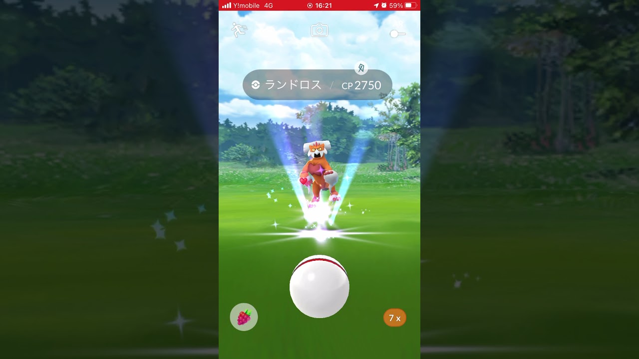 ランドロス★霊獣フォルム★ゲットチャレンジ