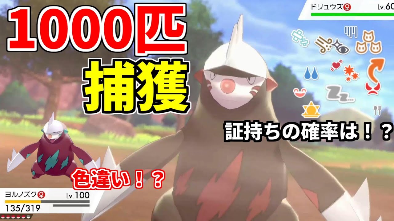 【ポケモン剣盾】ドリュウズを1000匹捕獲してきました【ゆっくり実況】