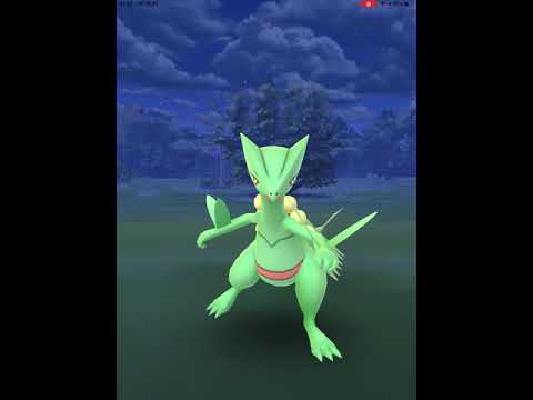 【ポケモンGO】初めて、野生のジュカインに遭遇！