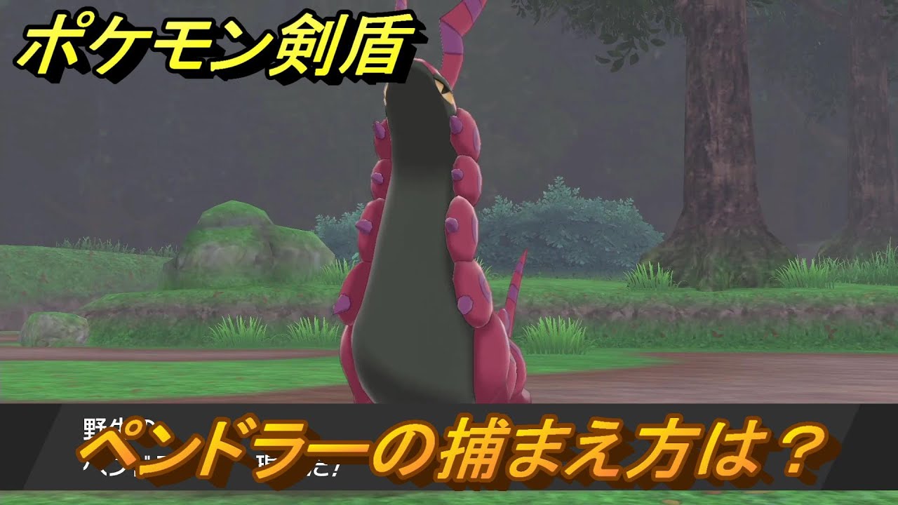 ポケモン剣盾　ペンドラーを捕まえる方法！オススメの場所は？天気は？ポケモン図鑑コンプへの道！　最新版【ポケモンソード・シールド】