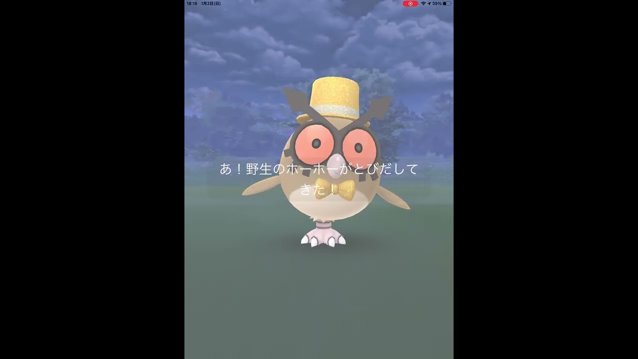 【ポケモンGO】初めて、野生のニューイヤー ホーホーに遭遇！