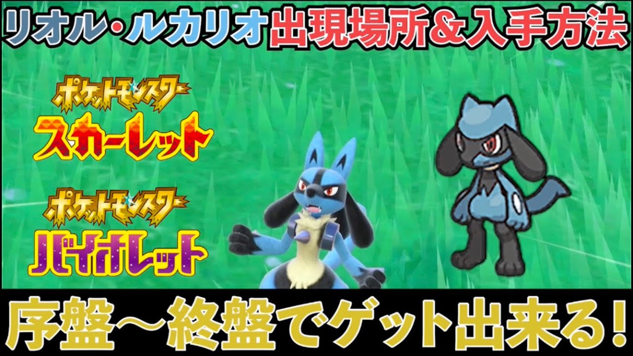 【ポケモンSV】序盤から終盤まで！リオル・ルカリオの入手場所と出現場所を紹介！【スカーレット・バイオレット】