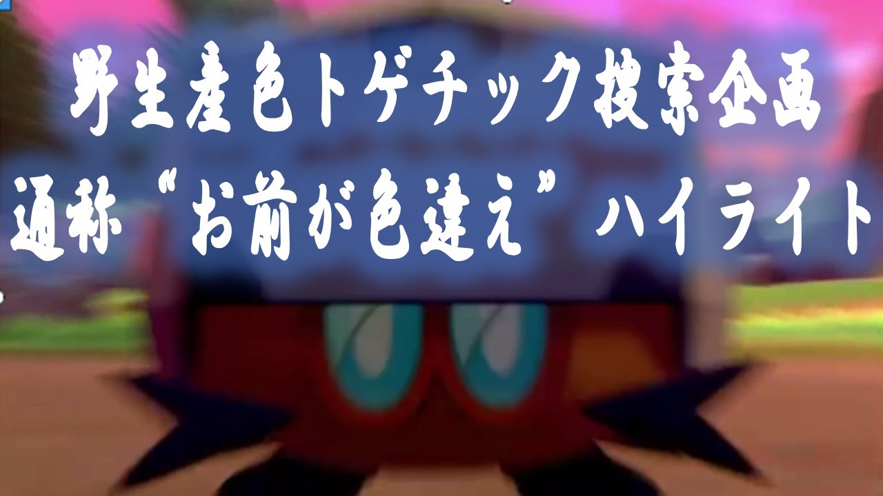 【野生色トゲチ捜索企画４月の部ハイライト】§118 やる気が違うんだよやる気が‼‼【4番首位打者色レドームシ】【ポケモン剣盾】