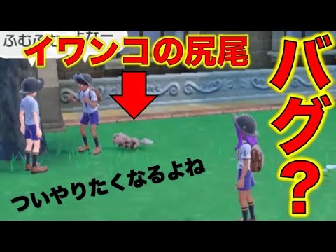 【バグ？】イワンコの尻尾がおかしい！ついやりたくなってしまう！【ポケモンSV】【ポケットモンスタースカーレット・バイオレット】