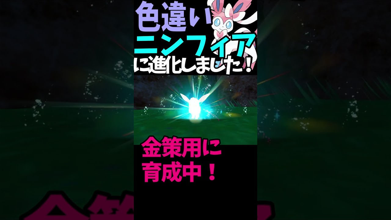 【イーブイの色違い、ニンフィアに進化させました！】金策用に育成中！ボルさん、ありがとうございましたm(__)m  一回間違えてブラッキーになって焦りました！【ポケモンsv】 #shorts