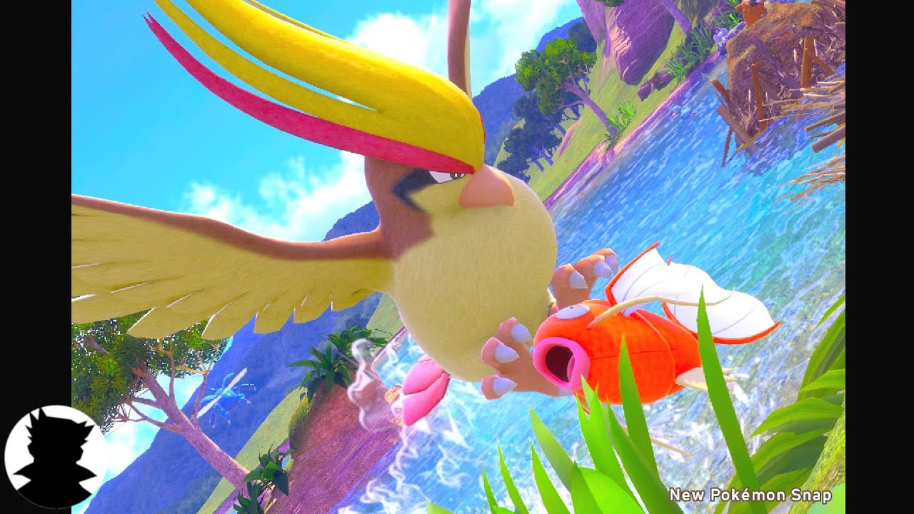 【New ポケモンスナップ】はねるコイキングとピジョット＜命と別れと進化の歌＞