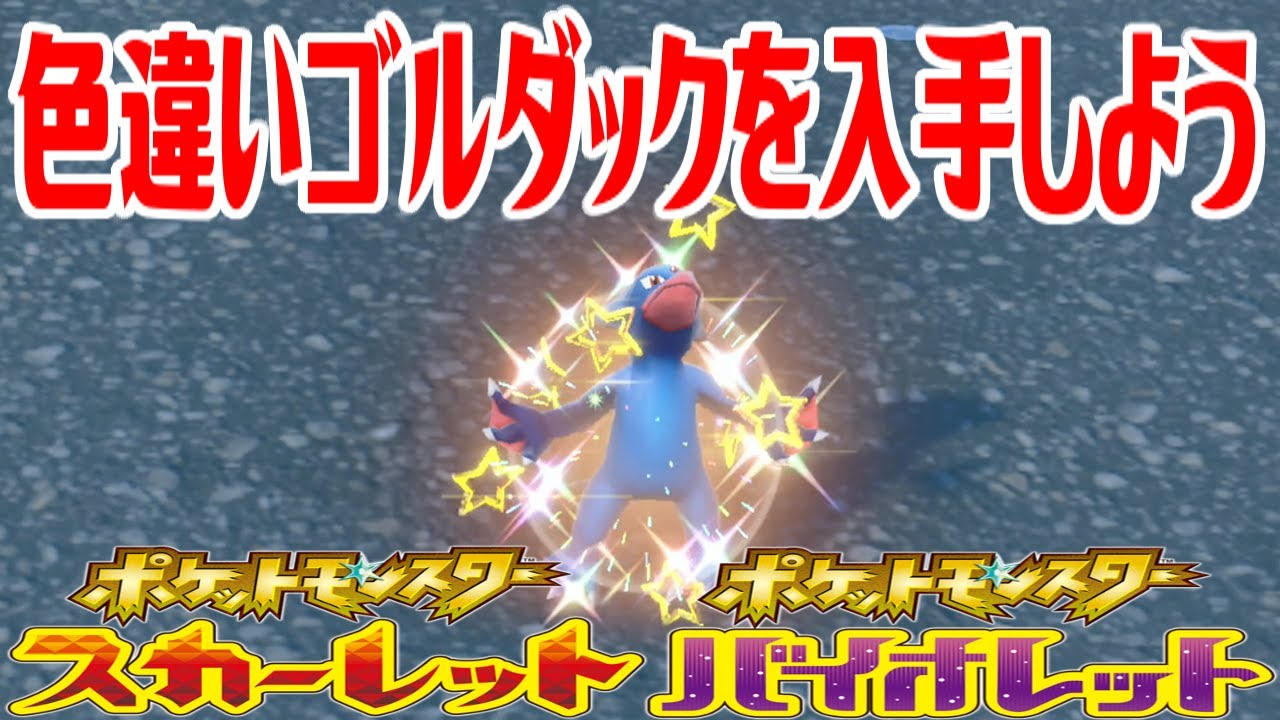 【ポケモンSV】色違いゴルダックを入手しよう【ポケットモンスター スカーレット・バイオレット】Pocket Monsters