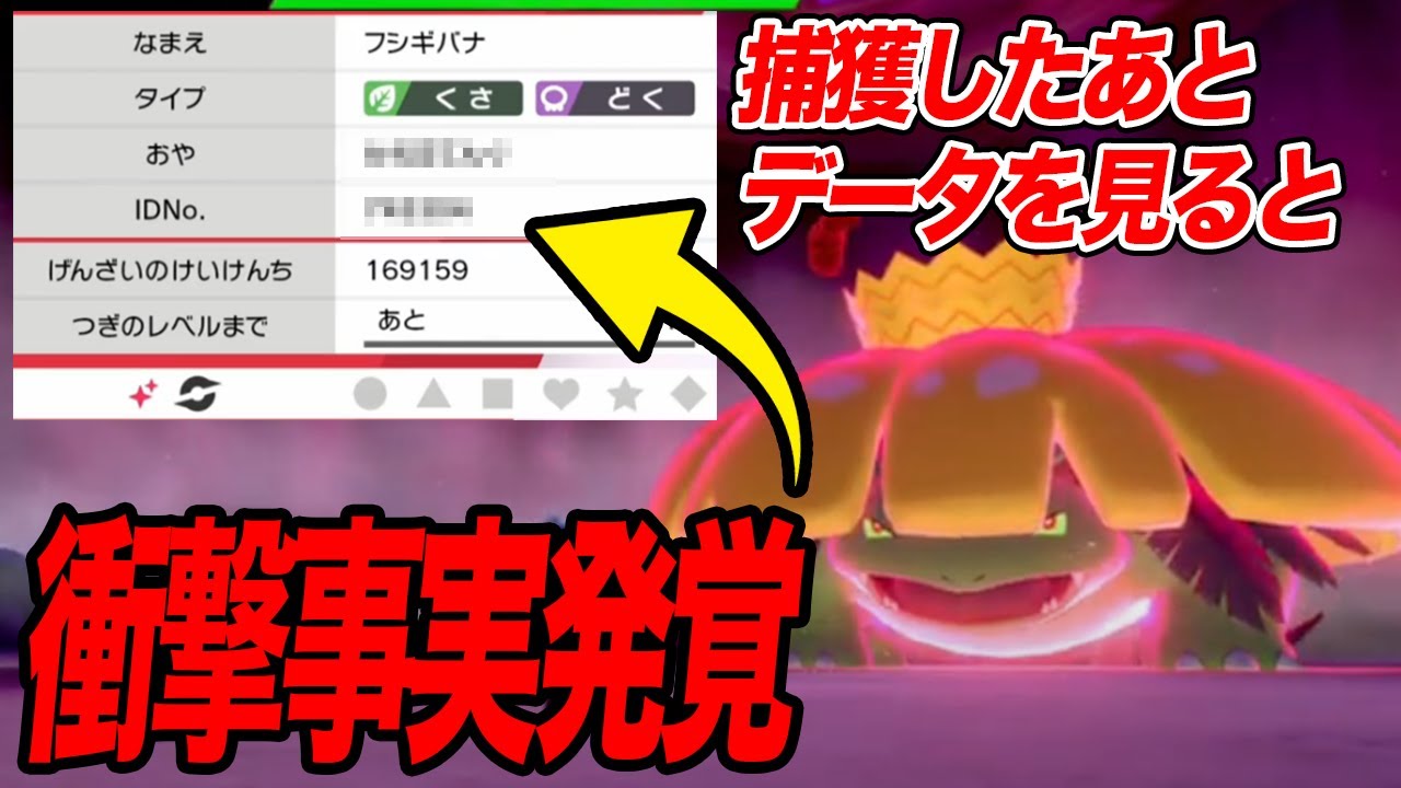 【ポケモン剣盾】改造フシギバナを捕獲したあとにデータを見たらヤバすぎて気絶した…【ソード&シールド】 #改造ポケモン