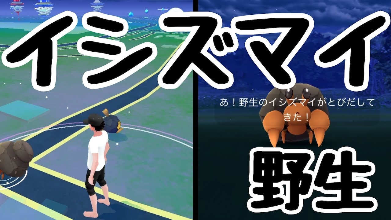 【ポケモンGO】「イシズマイ」野生！捕獲！