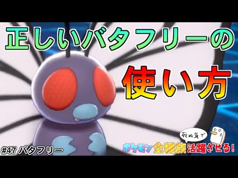 お前たちのバタフリーの使い方は間違っている【ポケットモンスター ソード・シールド/剣盾】