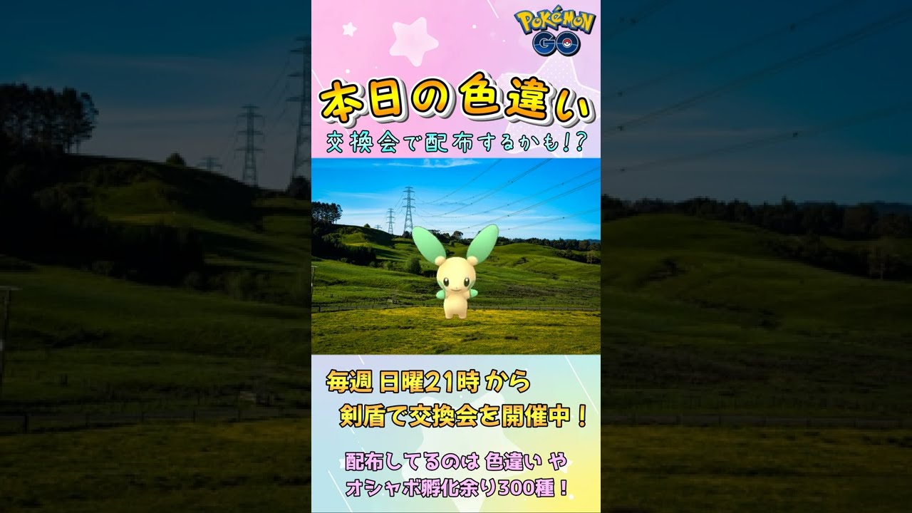 【本日の色違い】マイナン 2022/1/25【ポケモンGO】