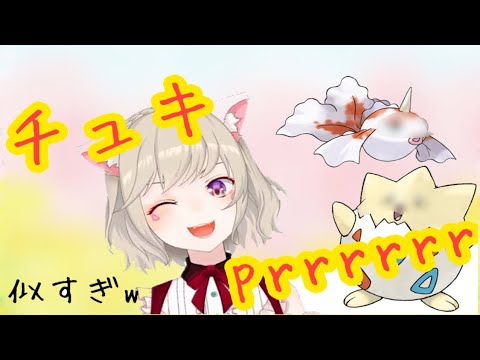 【切り抜き】ハイクオリティト○ピー&トサキントを披露する小森めと【ニチアサ/小森めと／ブイアパ】