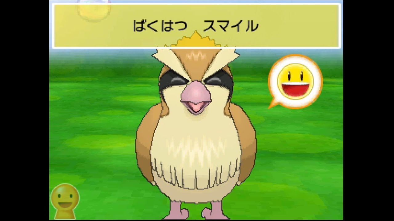ポケパルレ　ポッポと戯れるだけの動画