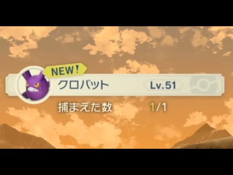 ポケモンアルセウス 飛んでいる クロバット 捕獲 攻略 #PokemonLEGENDS Part38