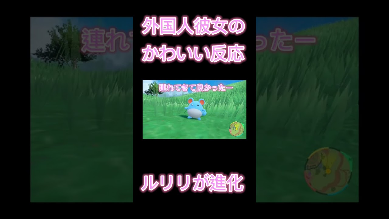 ルリリが進化した時の外国人彼女のかわいい反応【ポケットモンスタースカーレット･バイオレット】【ポケモンSV】 #shorts
