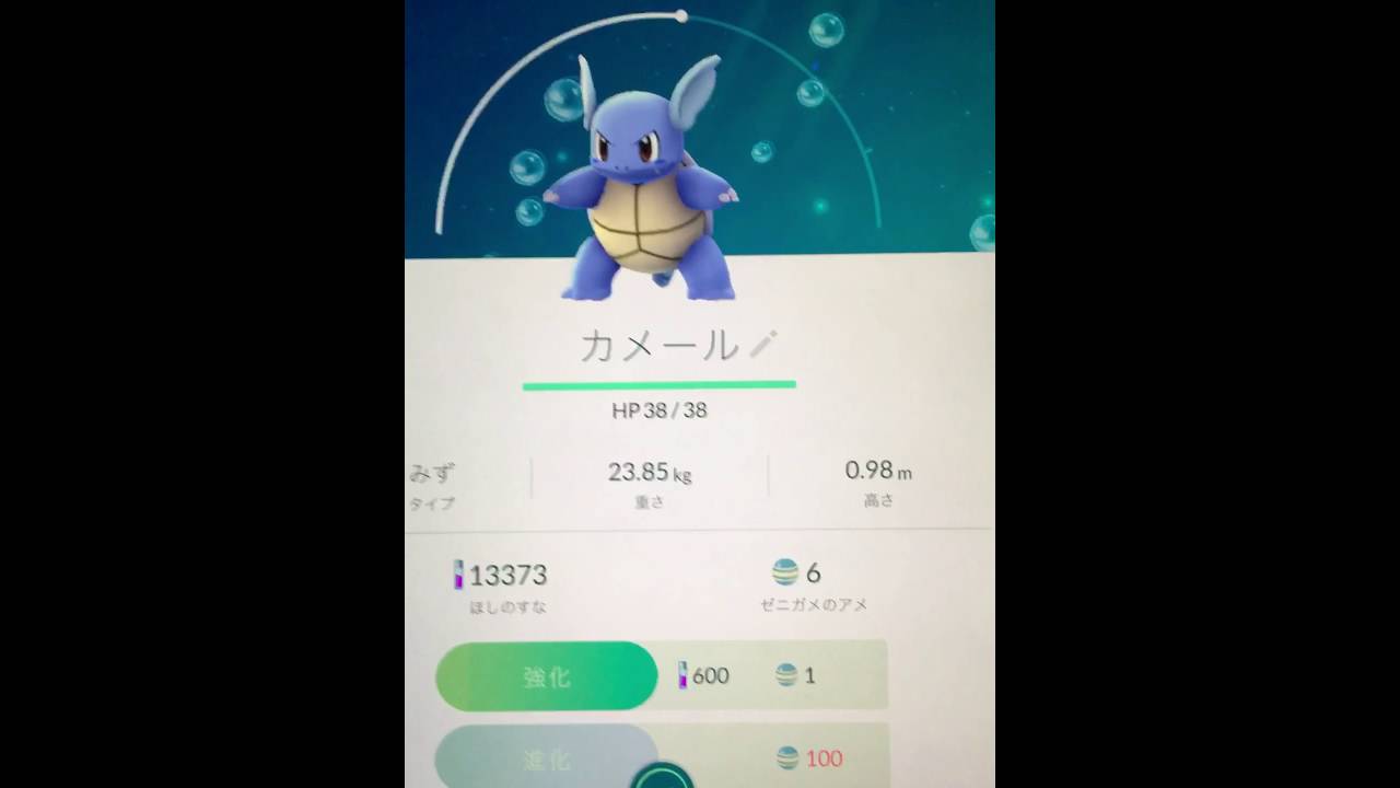 ポケモンGO カメールGET