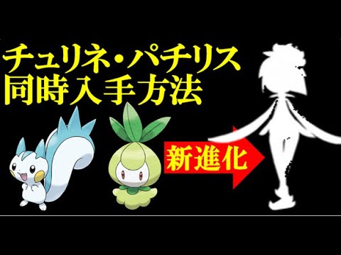【ヒスイドレディア】パチリスとチュリネを同時に入手する方法【Pokémon LEGENDS アルセウス】