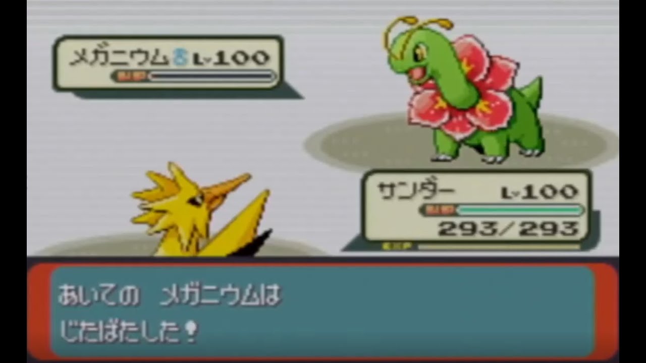 【ポケモン 金ダツラ】41連勝目www（VS最強のメガニウム）