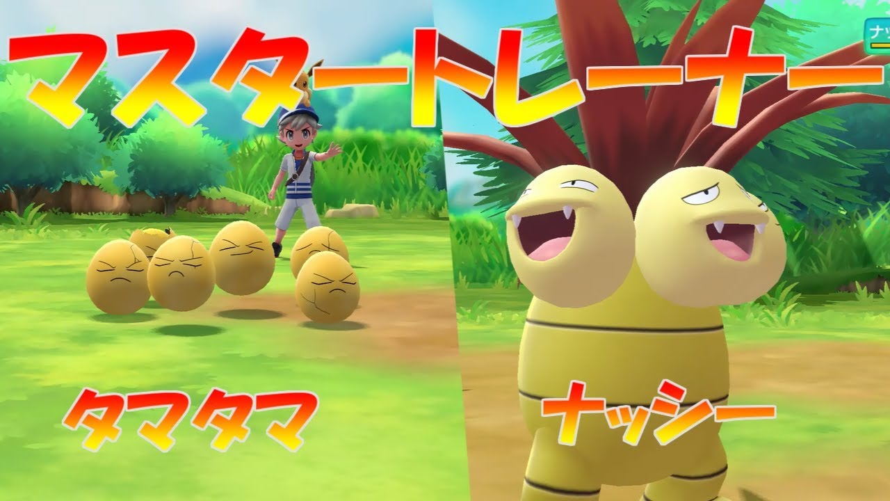 【ポケモン】マスタートレーナー（タマタマ、ナッシー）【ピカブイ】
