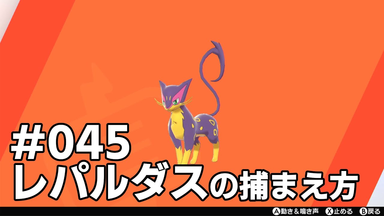 レパルダスを探している方に見てほしい動画