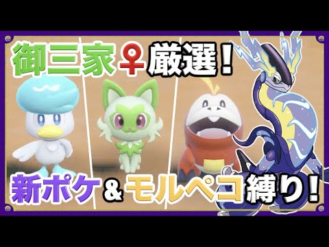 【ポケモンSV】実況Part1 新ポケ&モルペコ縛り！御三家メス♀厳選！【ポケットモンスター スカーレット/バイオレット】