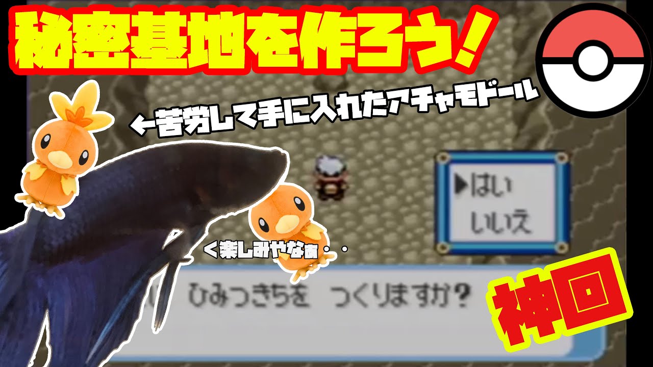 【神回】アチャモドールで秘密基地を作ろう！