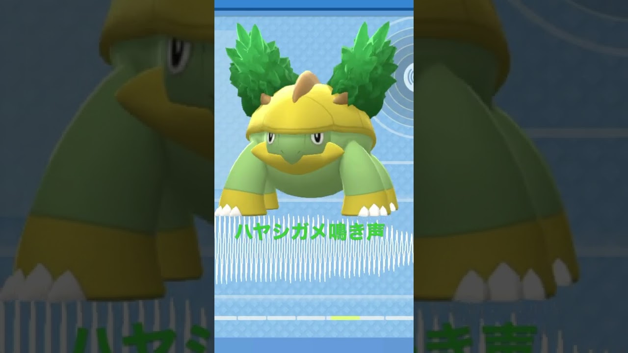 BDSP【シンオウ図鑑NO002】ハヤシガメ鳴き声#ポケモン鳴き声 #図鑑コンプ #ブリリアントダイヤモンド #シャイニングパール#ポケモン生態#第四世代鳴き声#Grotle