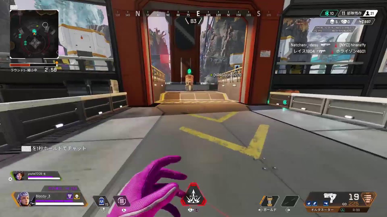 [apex]　雪降らないからナエトル