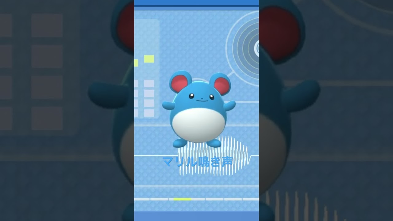 BDSP【シンオウ図鑑NO125】マリル（Marill）鳴き声（barking）#ポケモン鳴き声 #図鑑コンプ #ブリリアントダイヤモンド #シャイニングパール#第四世代鳴き声#Marill