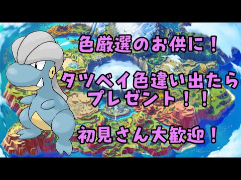【ポケモンSV】厳選のお供に!タツベイ色厳選！出たらプレゼントします！欲しい方集合！