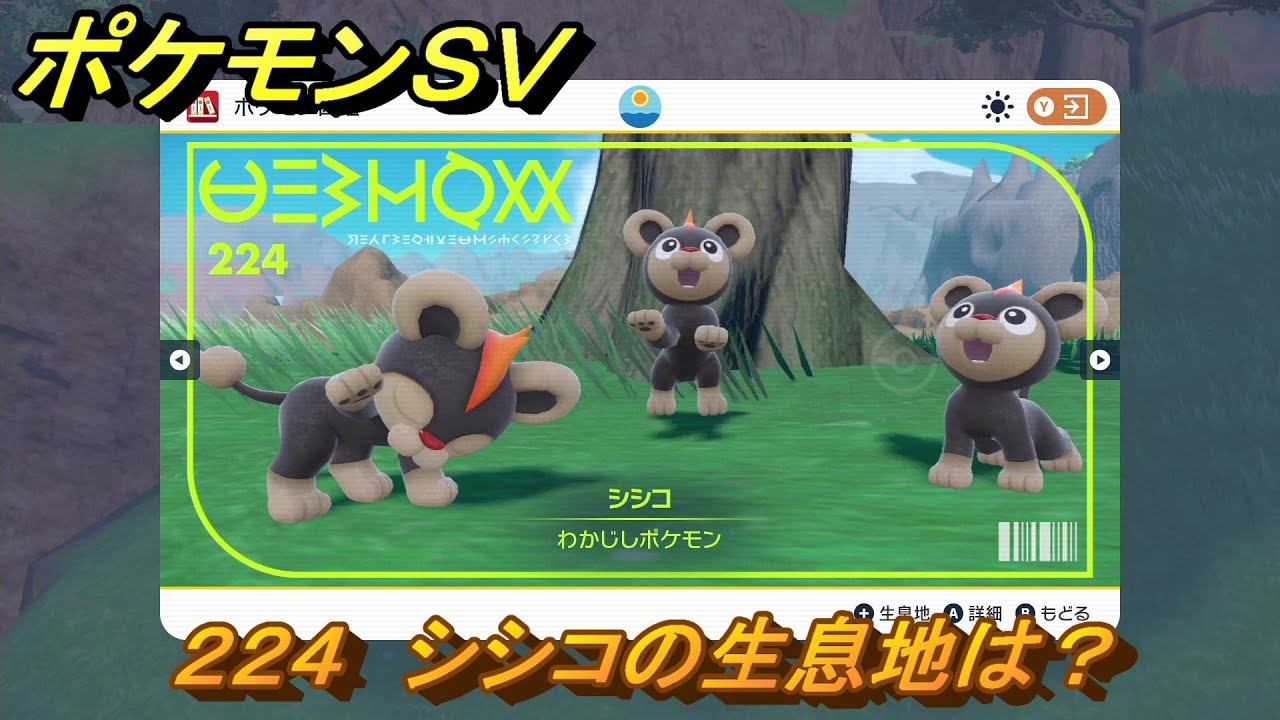 ポケモンＳＶ　シシコの生息地は？図鑑No.２２４　おすすめ場所紹介！ポケモン図鑑を完成させよう！　【ポケモンバイオレット・スカーレット】