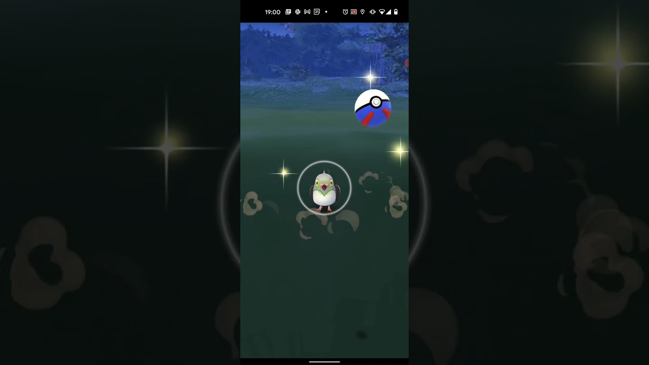 【ポケモンGO】マメパトをワンショット・エクセレント・カーブボールでキャンセル捕獲しただけの動画  #SHORTS