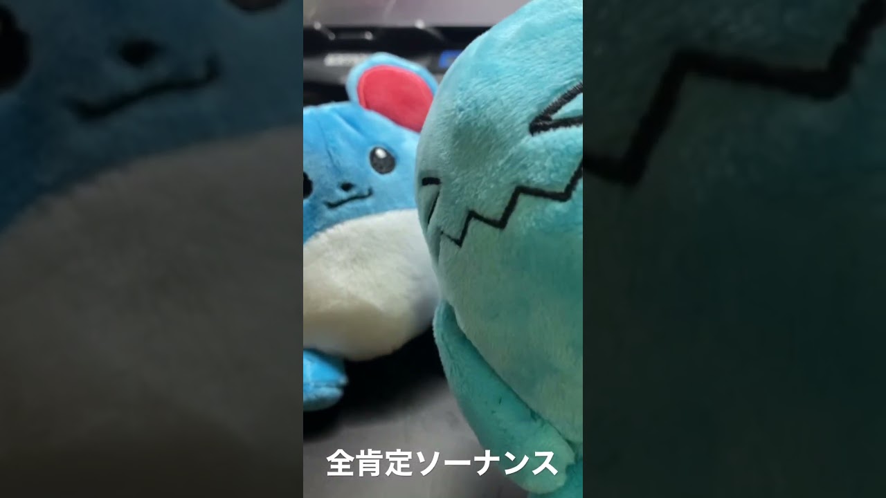 肯定してくれるソーナンス