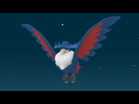 ポケモンGO ドンカラス  進化