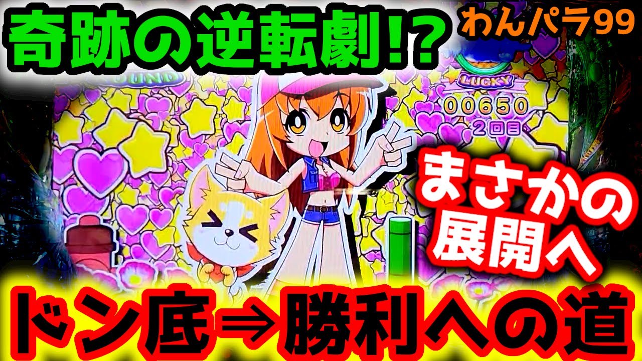 "ドン底から奇跡？？"前日に23連している台を打ったら…【PAわんわんパラダイスV】《ぱちりす日記》甘デジ 海物語 ギンパラ わんパラ