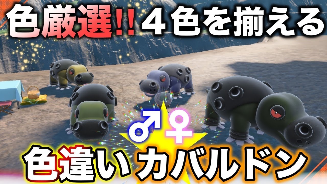 カバルドンって4色あんねん・・・❤︎【ポケモンSV】