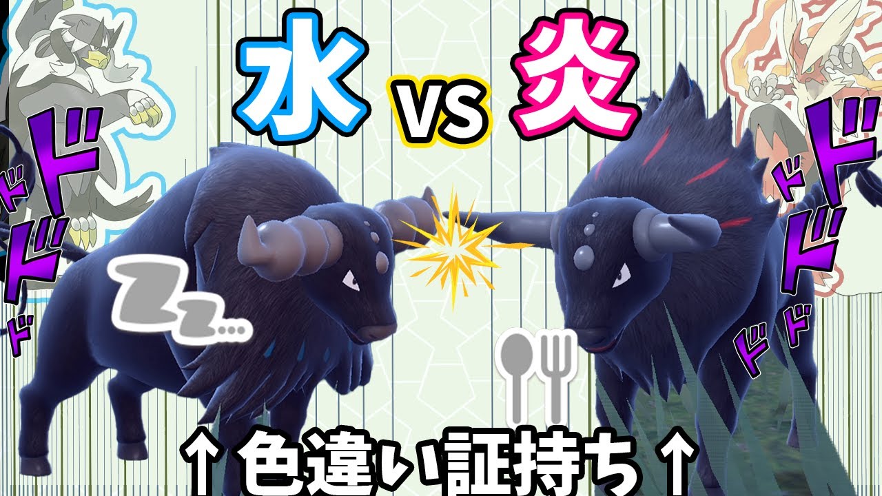 色違い炎ケンタロスと水ケンタロス、上位でそれぞれ使ってみた結果・・・【ポケモンSVランクマッチ】