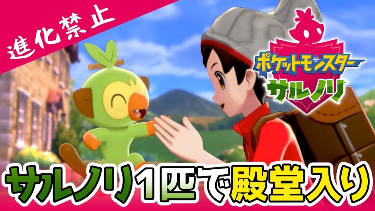 【ポケモン剣盾】進化禁止！！サルノリ一匹で殿堂入りするまで眠りません～最終回～