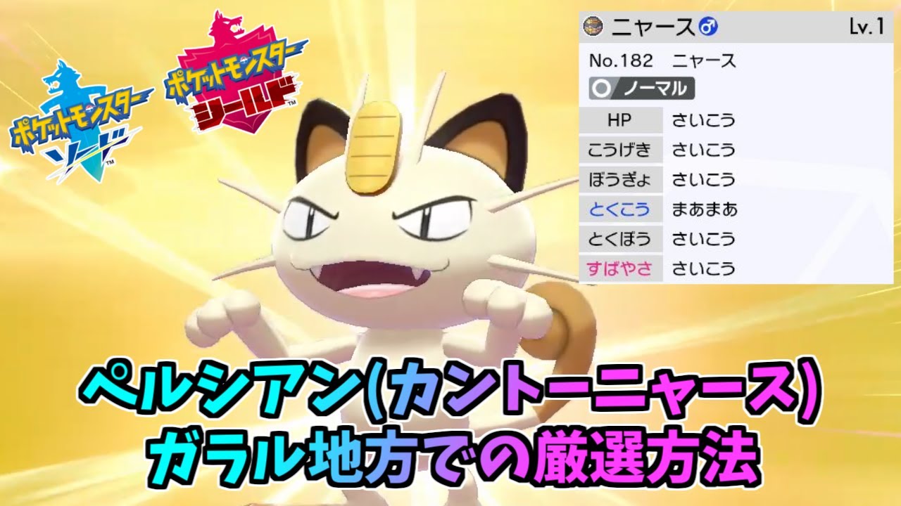 【ポケモン剣盾】通常ニャースを孵化厳選する方法【ガラル地方】
